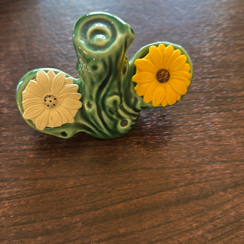 Salt and pepper shaker